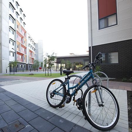 Ecu - Mt Lawley Hostel Perth Buitenkant foto